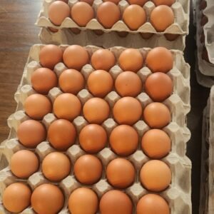 Farm Brown Eggs