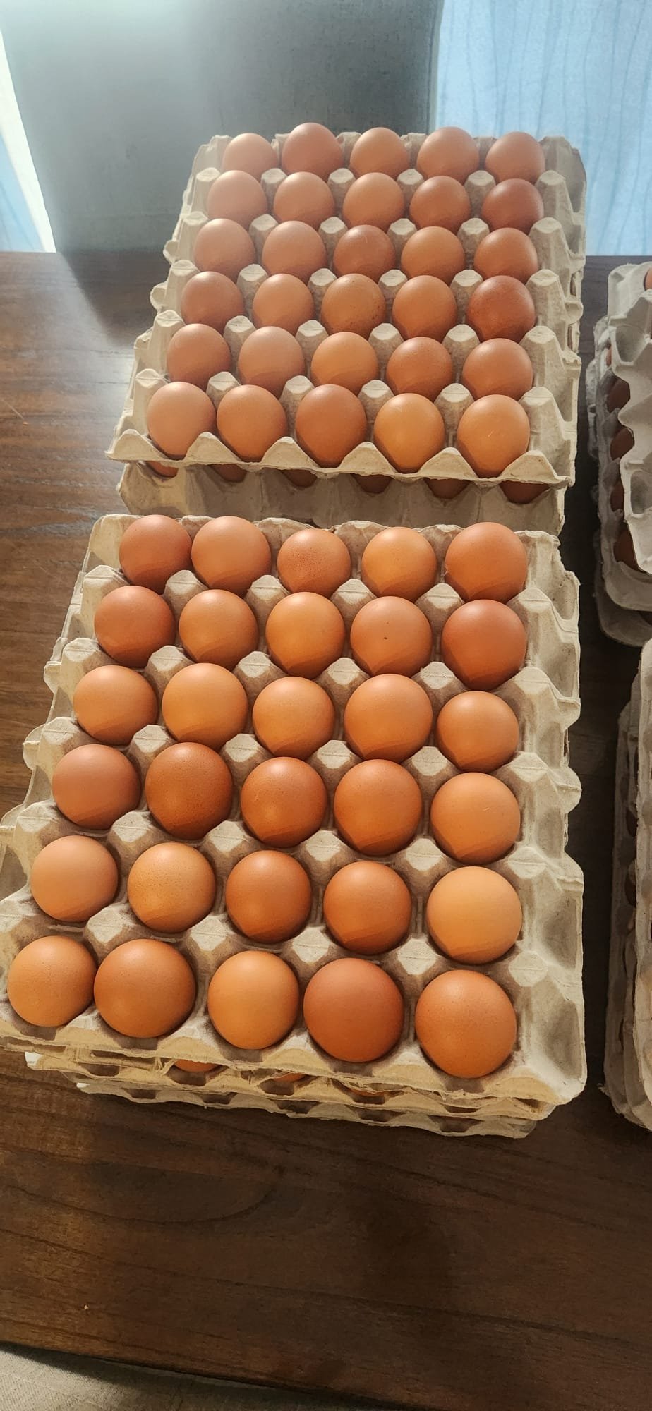 Farm Brown Eggs