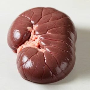 Beef Kidney