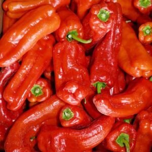 Lapri Shepherd / Naija Tatase Pepper