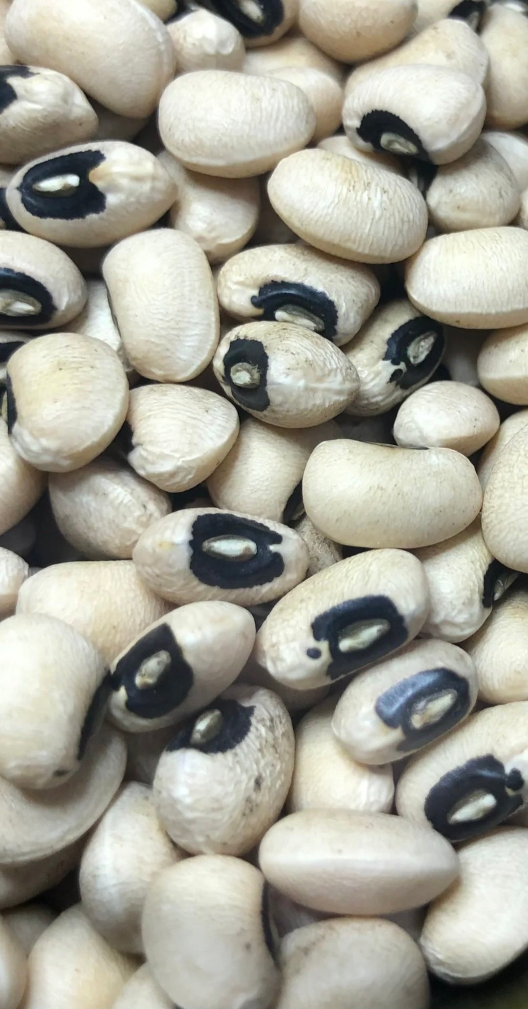 White Beans